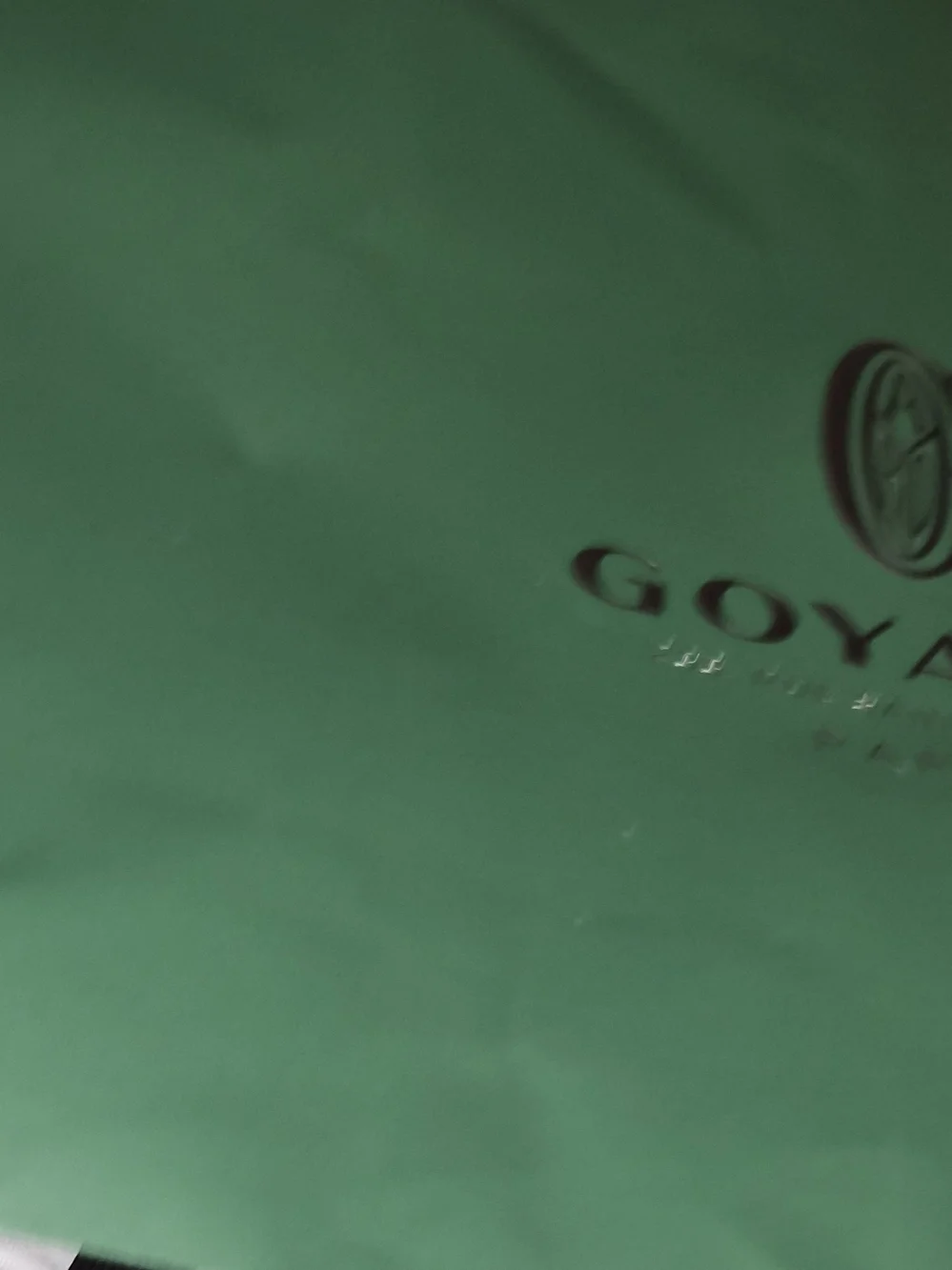 Authentic Goyard XL Green Paper Shopping Bag with Cards Ribbon Tag 23x19.5x6